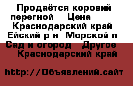 Продаётся коровий перегной! › Цена ­ 150 - Краснодарский край, Ейский р-н, Морской п. Сад и огород » Другое   . Краснодарский край